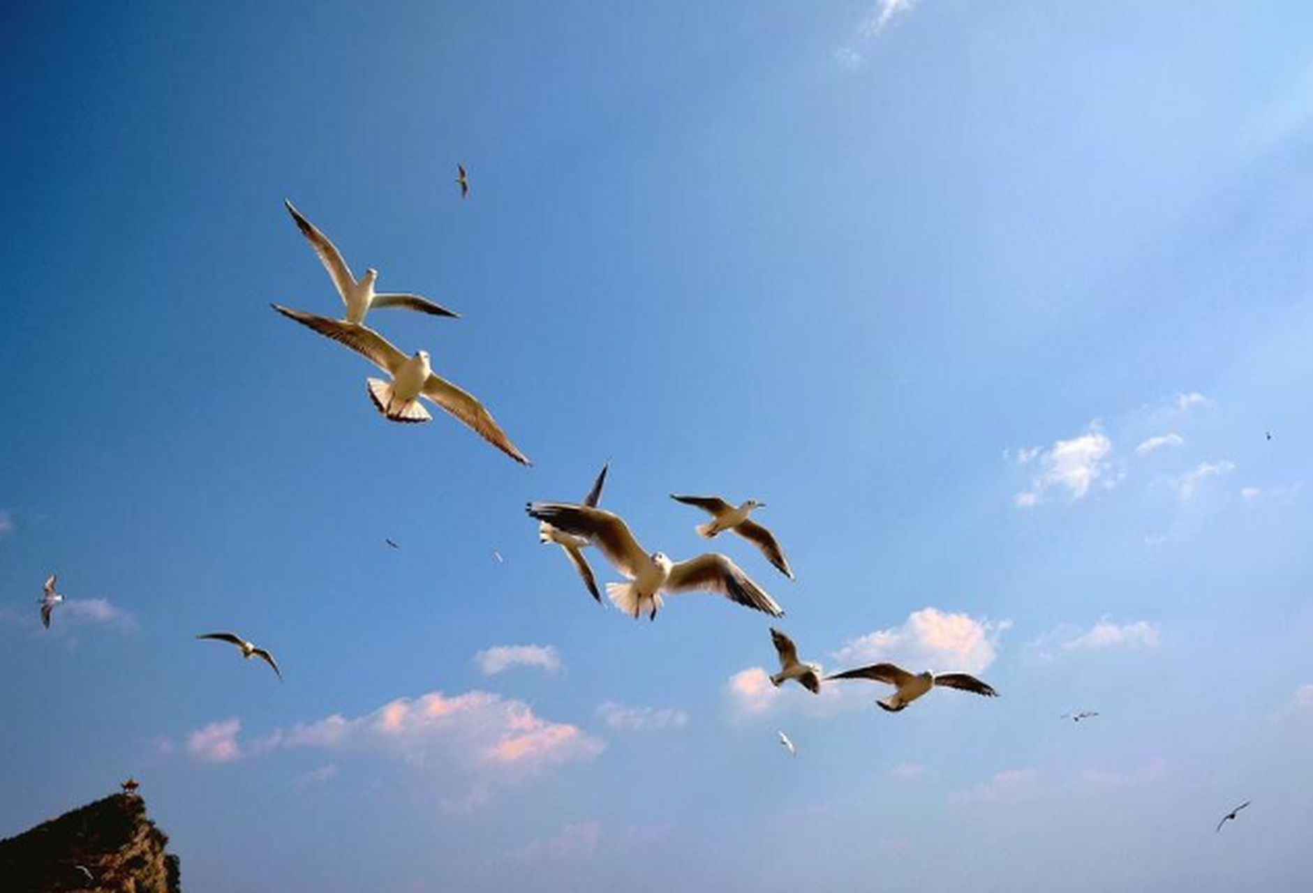包含又见绝平！圣安东尼奥马刺与北京国安鏖战至终场，梅德韦杰夫读秒救主的词条